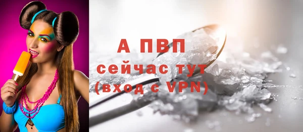 молекула духа Белоозёрский