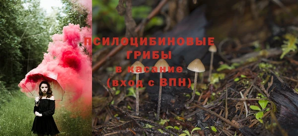 молекула духа Белоозёрский