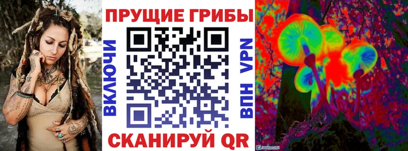 Галлюциногенные грибы Psilocybe Борзя